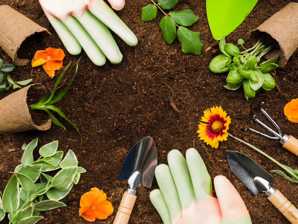 Gartenkonzepte